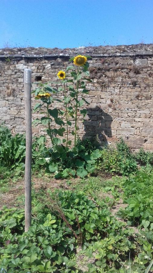 Kerbave Braz Villa Plouzélambre Buitenkant foto